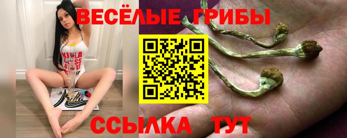 Галлюциногенные грибы Magic Shrooms Мурино