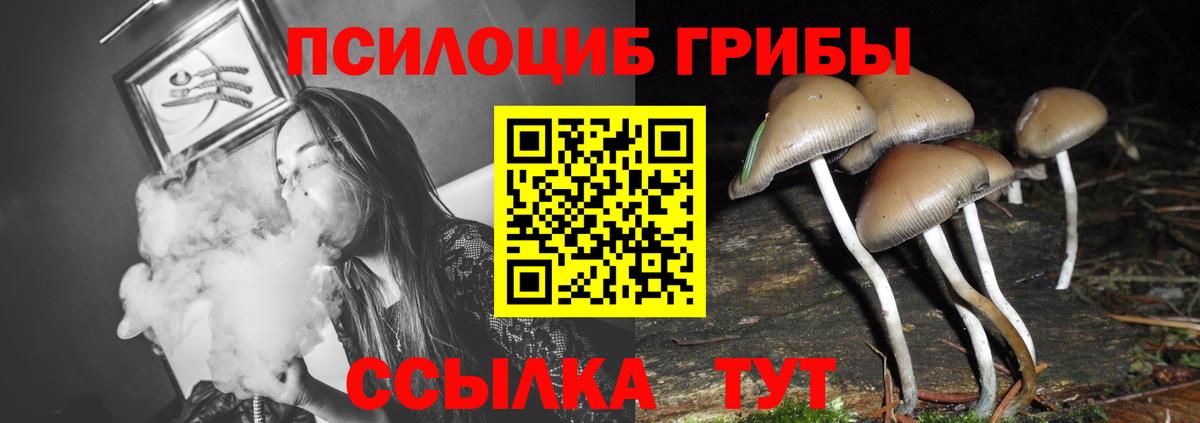 Мурино  Псилоцибиновые грибы Magic Shrooms  Вход с VPN 